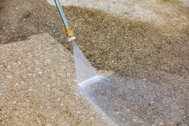 Best Boat and Dock Cleaning  in Scottsville, KY