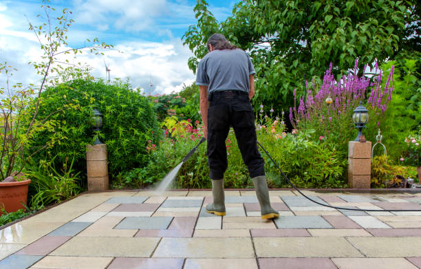 Best Fence Cleaning  in Scottsville, KY
